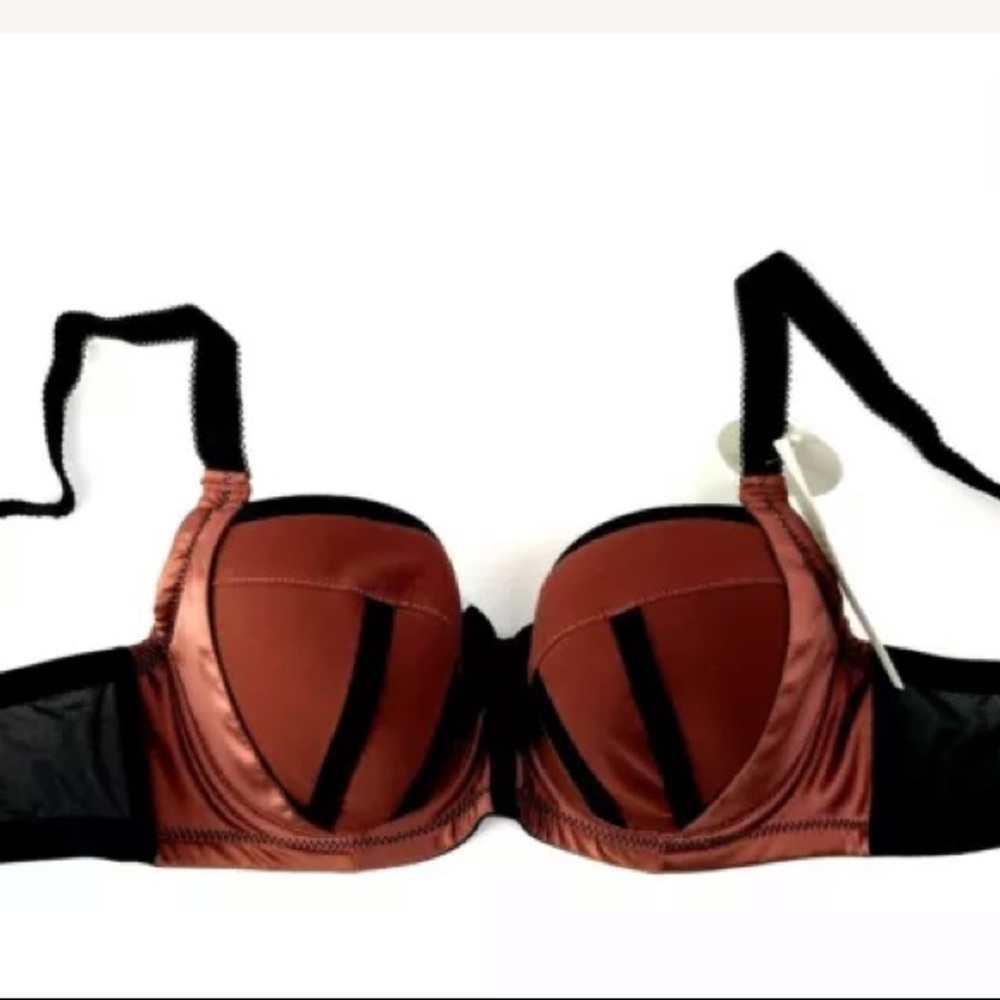 PARFAIT 30D T-Shirt Bra Velvet Underwire NWT